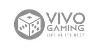 Visa/Mastercard partner logo
